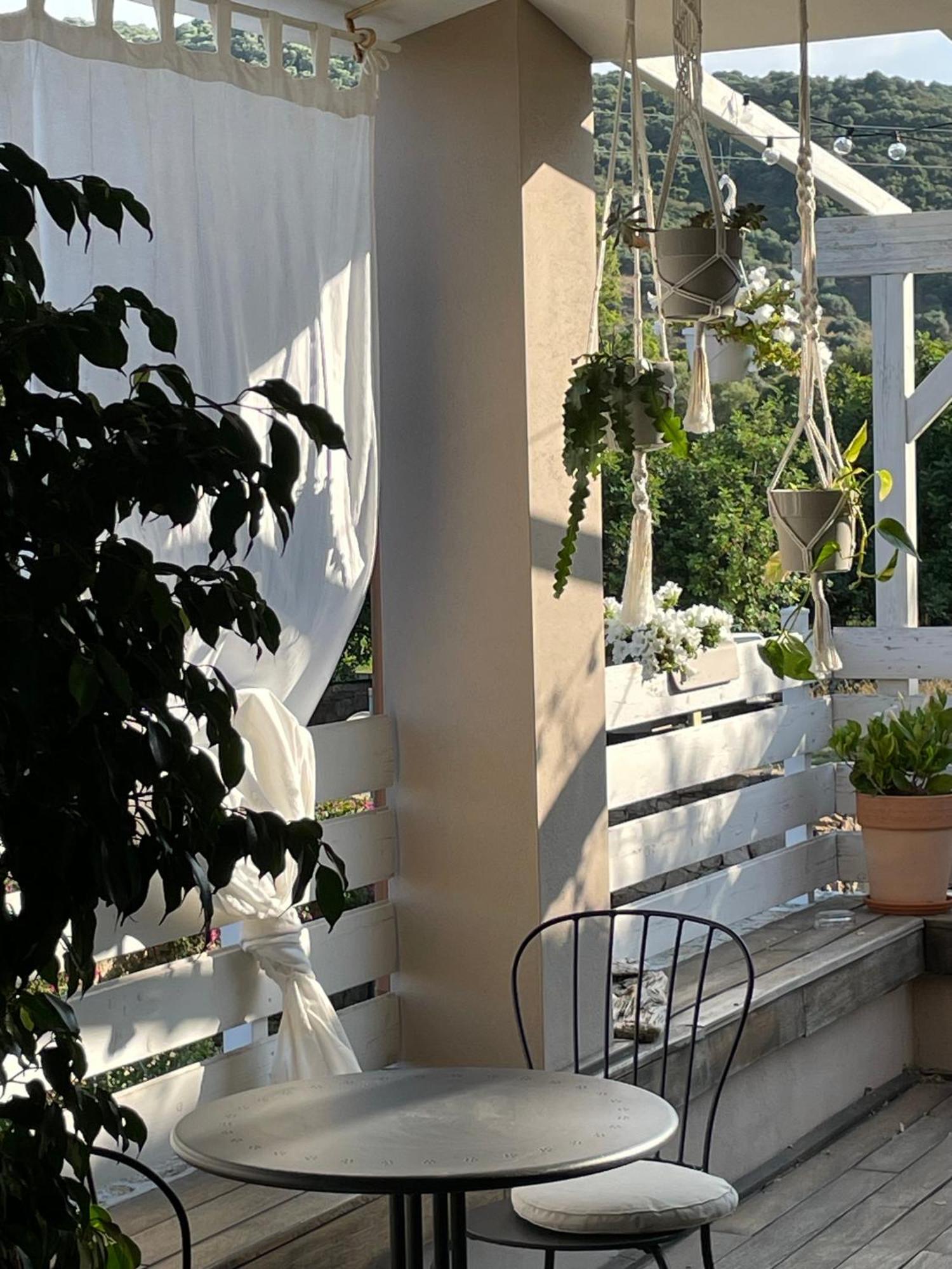 La Pecora Nera B&B 布多尼 外观 照片